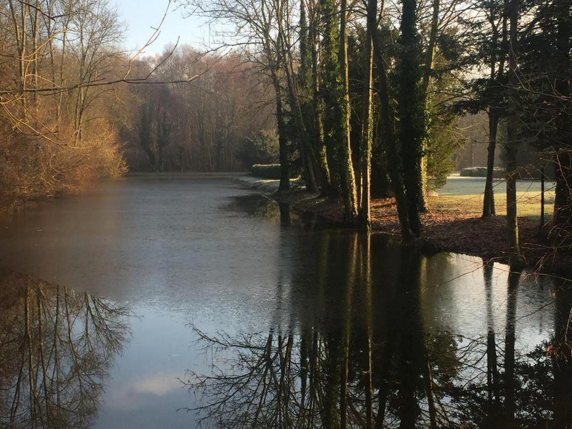 Chateau De Vitry-La-Ville ภายนอก รูปภาพ